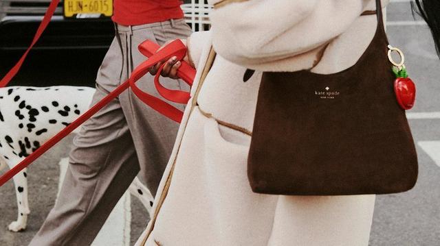 Person walking dalmatian on red leash while carrying Kate Spade brown handbag with strawberry charm.