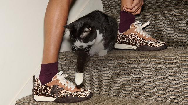 On the left, a black and white cat plays with a leopard-print sneaker on carpeted stairs. On the right, a pink sneaker rests on a bicycle pedal.