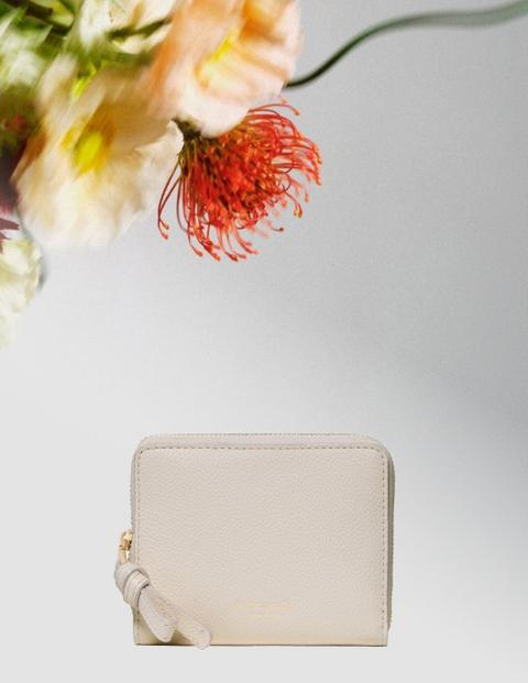 美しさと機能をコンパクトに