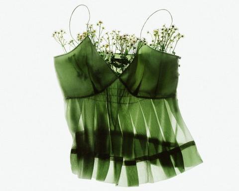 今月の壁紙プレゼント