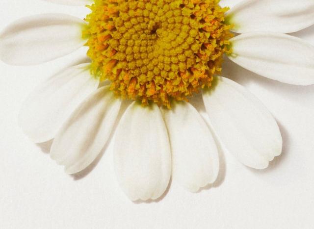 ラッキーを呼び込む財布・小物