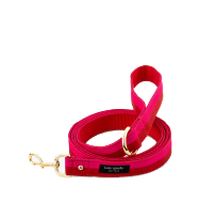 Home - Pet Accessories