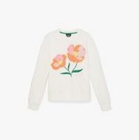 Promotions - Clothing